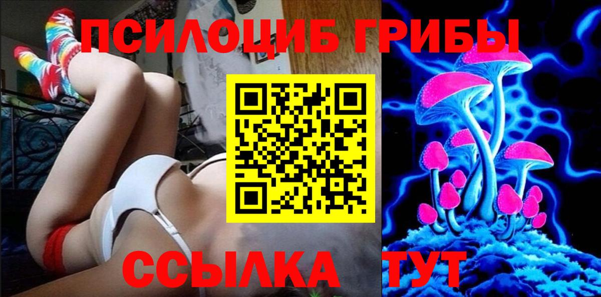 Зерноград  Галлюциногенные грибы Psilocybine cubensis  Вход с VPN 