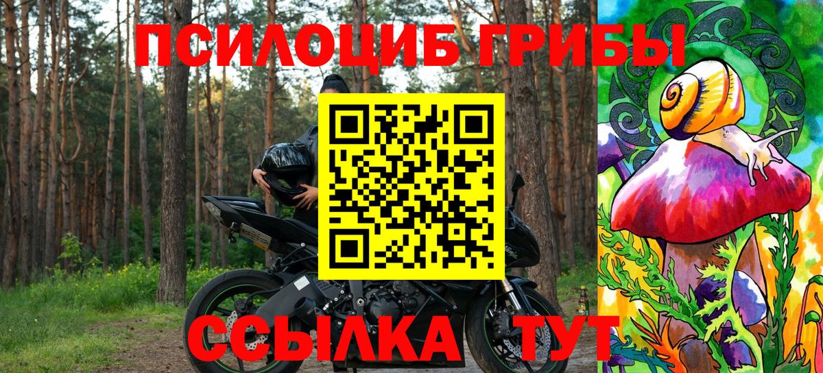 Галлюциногенные грибы Cubensis Зерноград