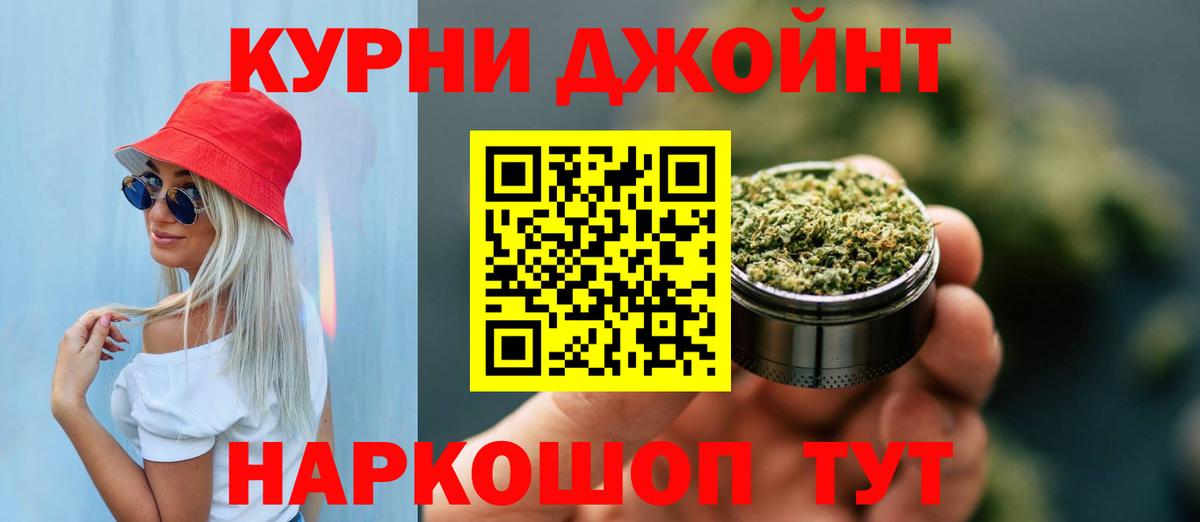 Бошки Шишки планчик Зерноград